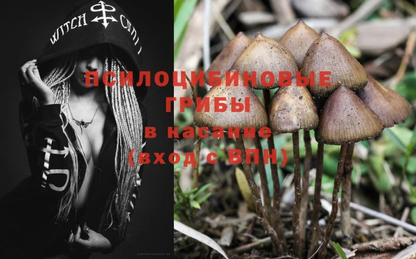 мескалин Арсеньев