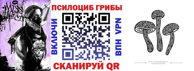 MEGA зеркало  Мглин  Псилоцибиновые грибы GOLDEN TEACHER 